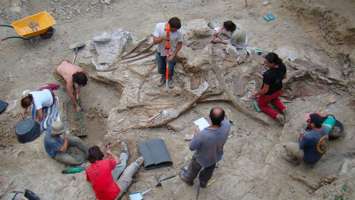 Descubren los restos óseos de un dinosaurio en Castellón al que han llamado garumbatitán