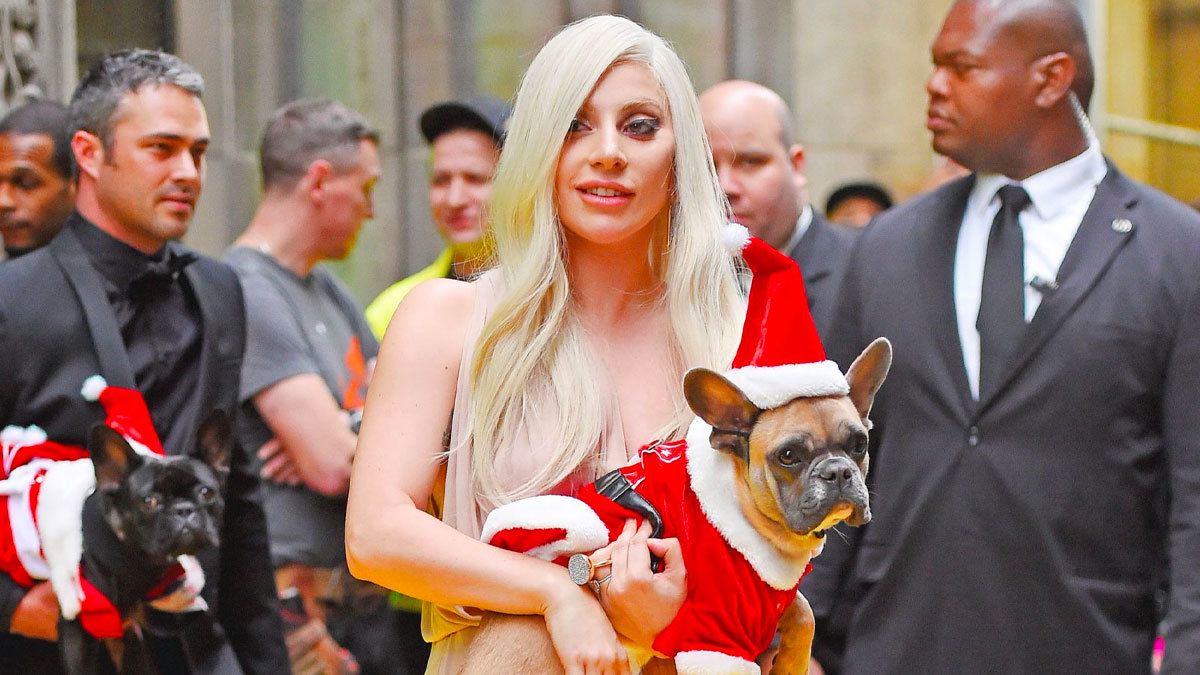 Sentenciado a 21 años de cárcel a uno de los ladrones de los perros de Lady Gaga