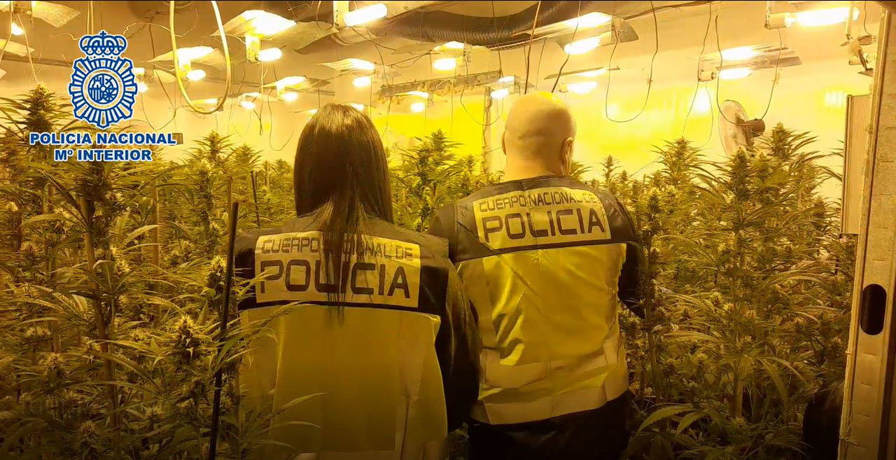 Momento de la intervención de la Policía Nacional en la plantación de marihuana en una nave de Humanes