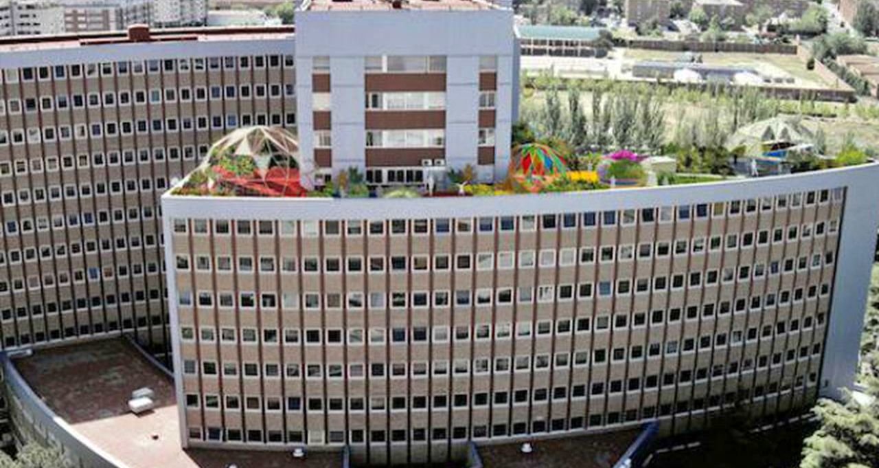 El hospital 12 de Octubre de Madrid ha reconvertido la azotea en un jardín