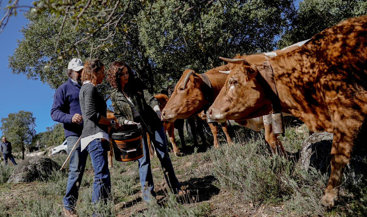 La presidenta Regional en su visita a una ganadería de La Cabrera
