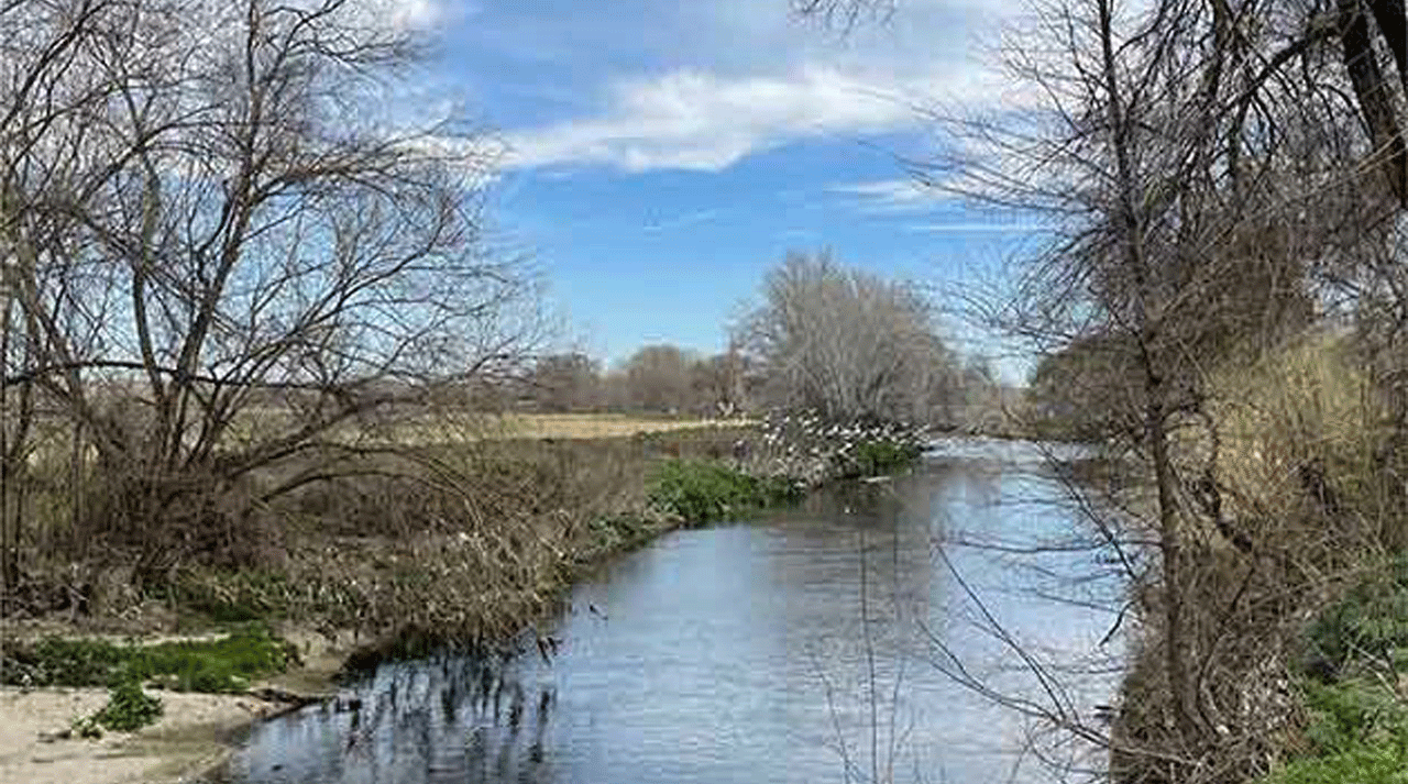 El río Manzanares a su paso por Perales del Río