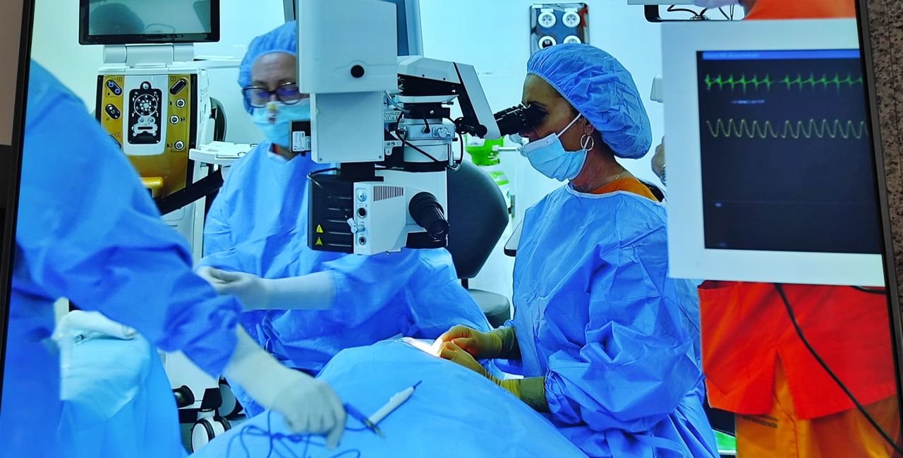 Curso cirugia oftalmologica en directo en el Hospital de Fuenlabrada