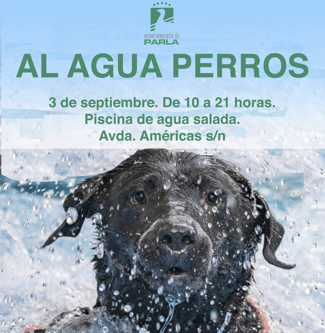 Cartel de la actividad 'Al agua perros'