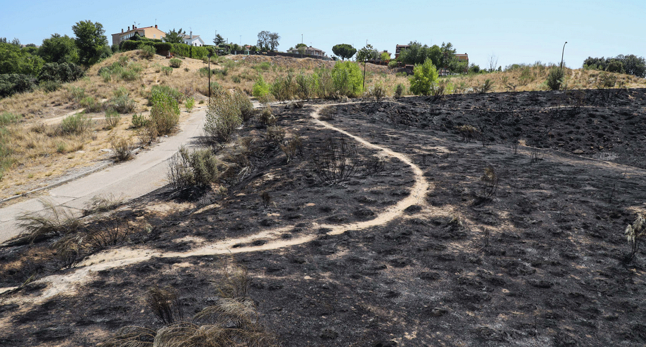 Imagen  del estado del terreno tras el incendio en el Parque Coimbra de Móstoles