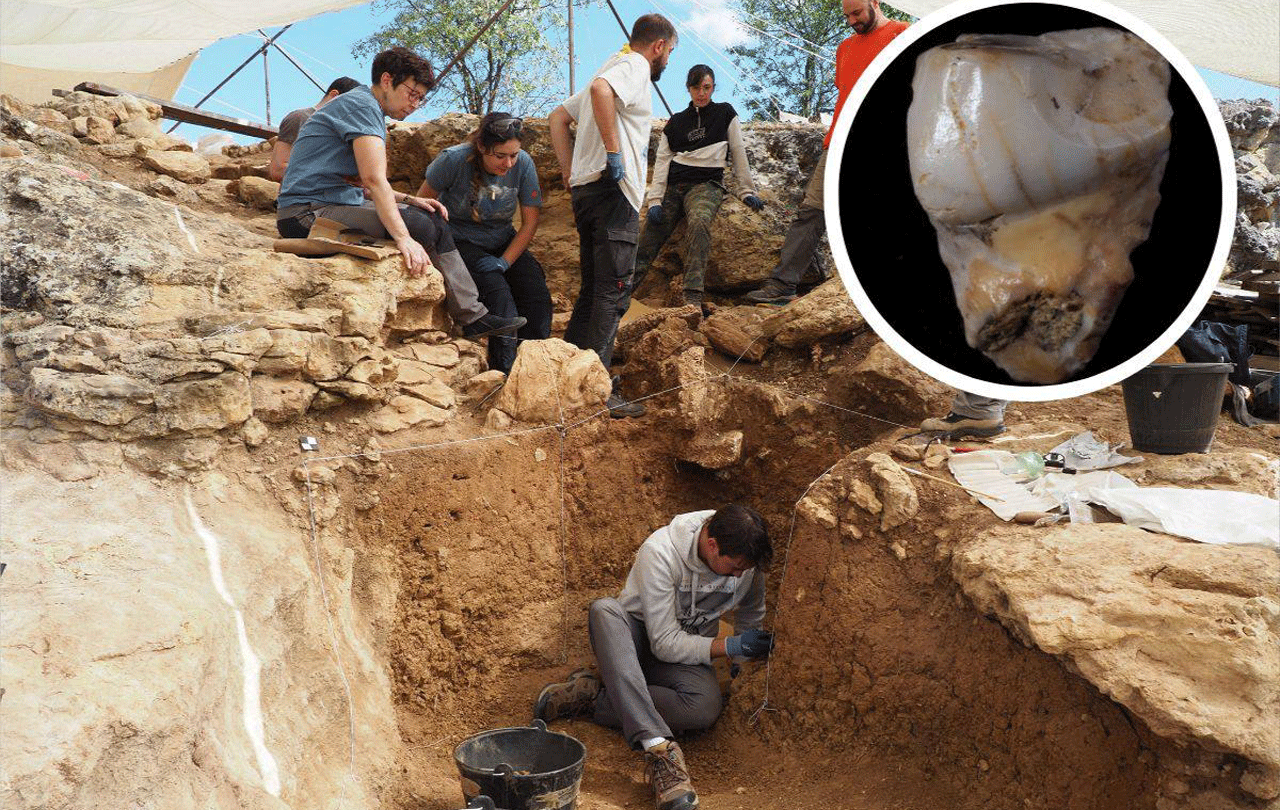 Excavaciones en Pinilla del Valle con el detalle del diente-fósil encontrado