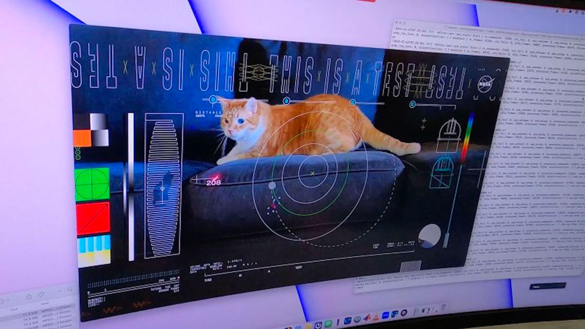 Este gato se convierte en todo un hito para la NASA