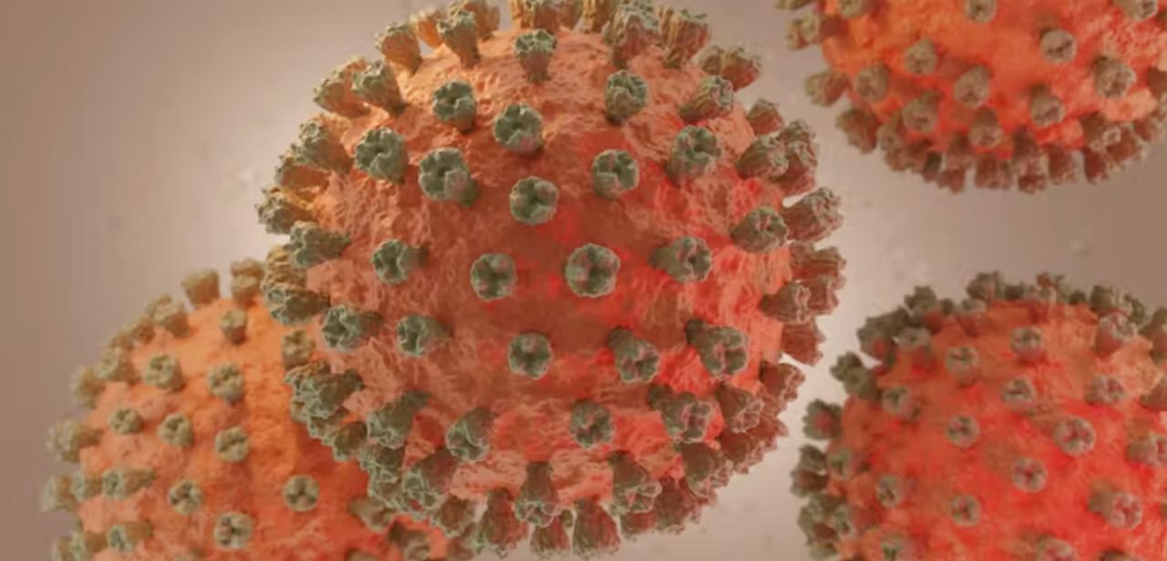 Virus de la gripe aviar. joshimerbin/Shutterstock
