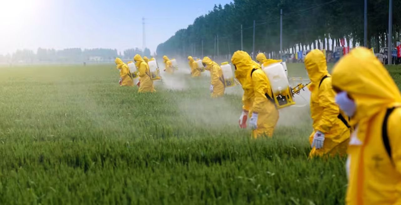 Fumigando cultivos con pesticidas | Jinning Li/Shutterstock