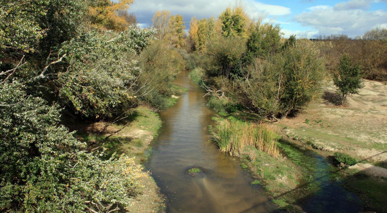 Imagen del Parque Regional del Curso Medio del río Guadarrama