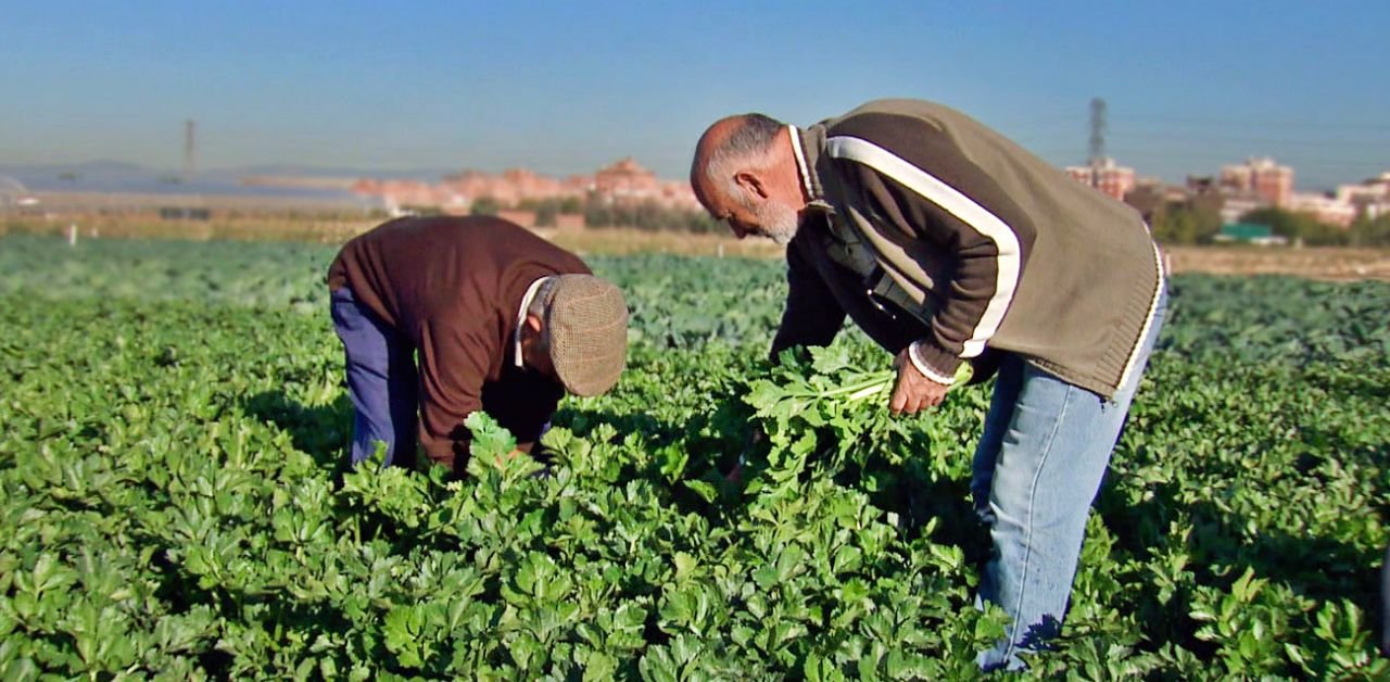 Agricultores y ganaderos de Madrid recibirán las ayudas de la Comunidad por la sequía | Imagen: Telemadrid