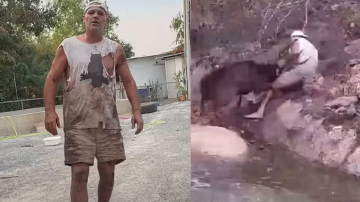 Frank Cuesta es atacado en directo por su ciervo 'Perrito'