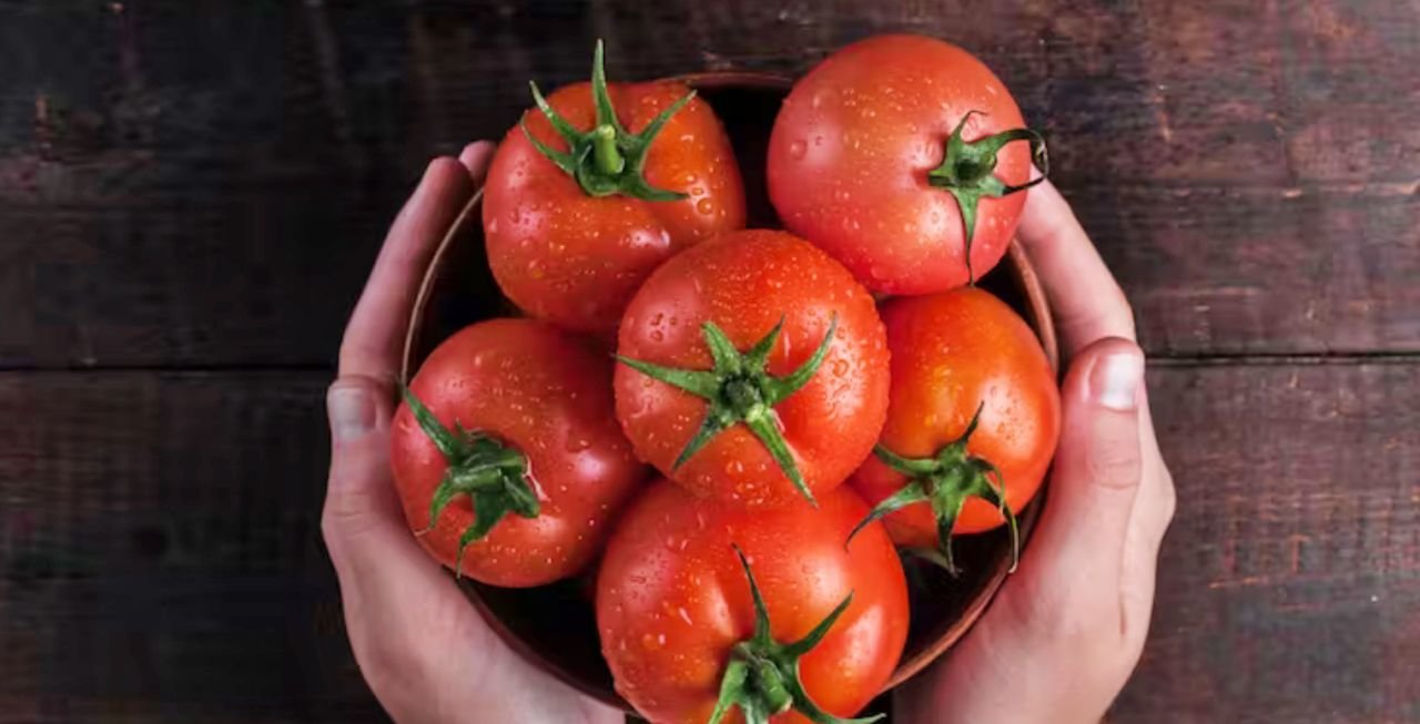 El tomate es el segundo cultivo hortícola en importancia tras la patata