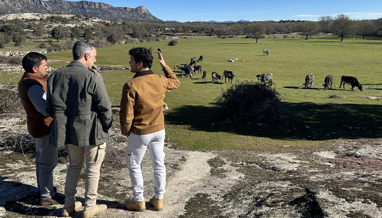 Momento de la visita del consejero Novillo a la ganadería Fernando Guzmán Guzmán, ubicada en la Finca La Pontezuela de Cabanillas de la Sierra
