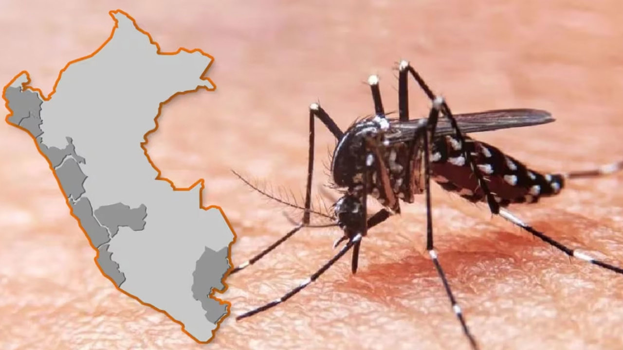 Perú se encuentra en alerta por el aumento de muertes por dengue