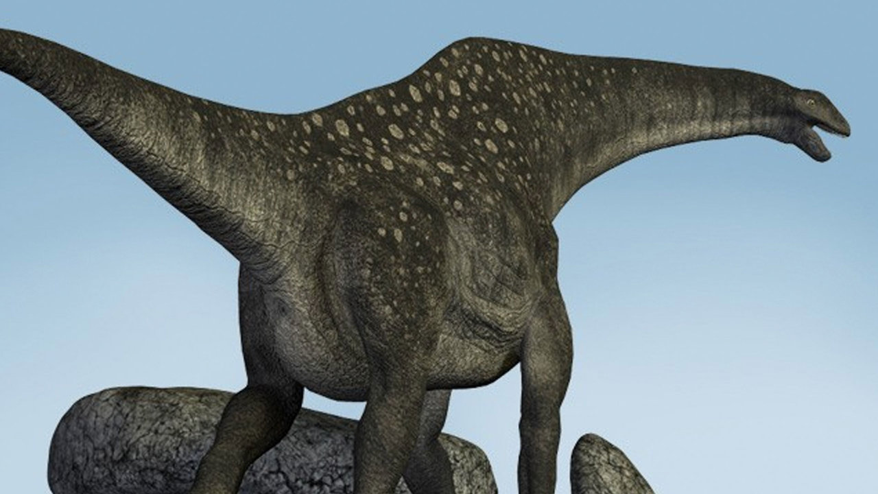 Los restos pertenecían al titanosaurio, uno de los más grandes