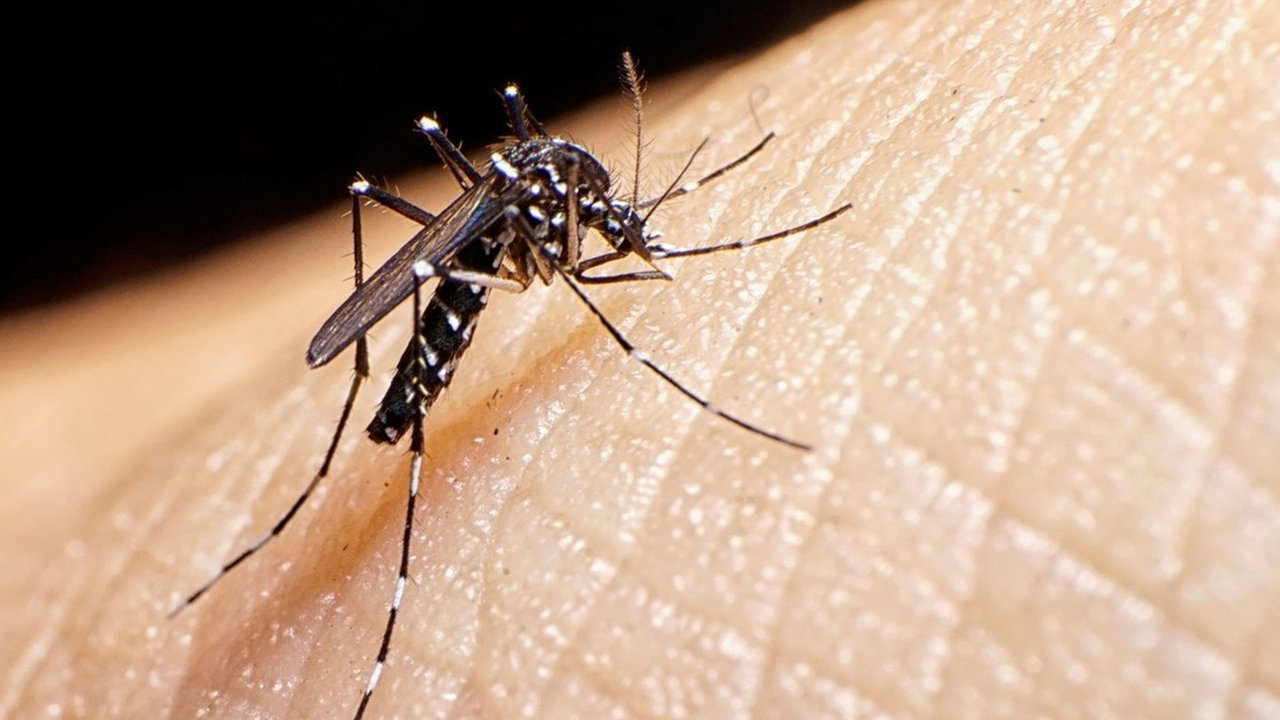 La epidemia de dengue en Argentina deja ya más de un centenar de muertos