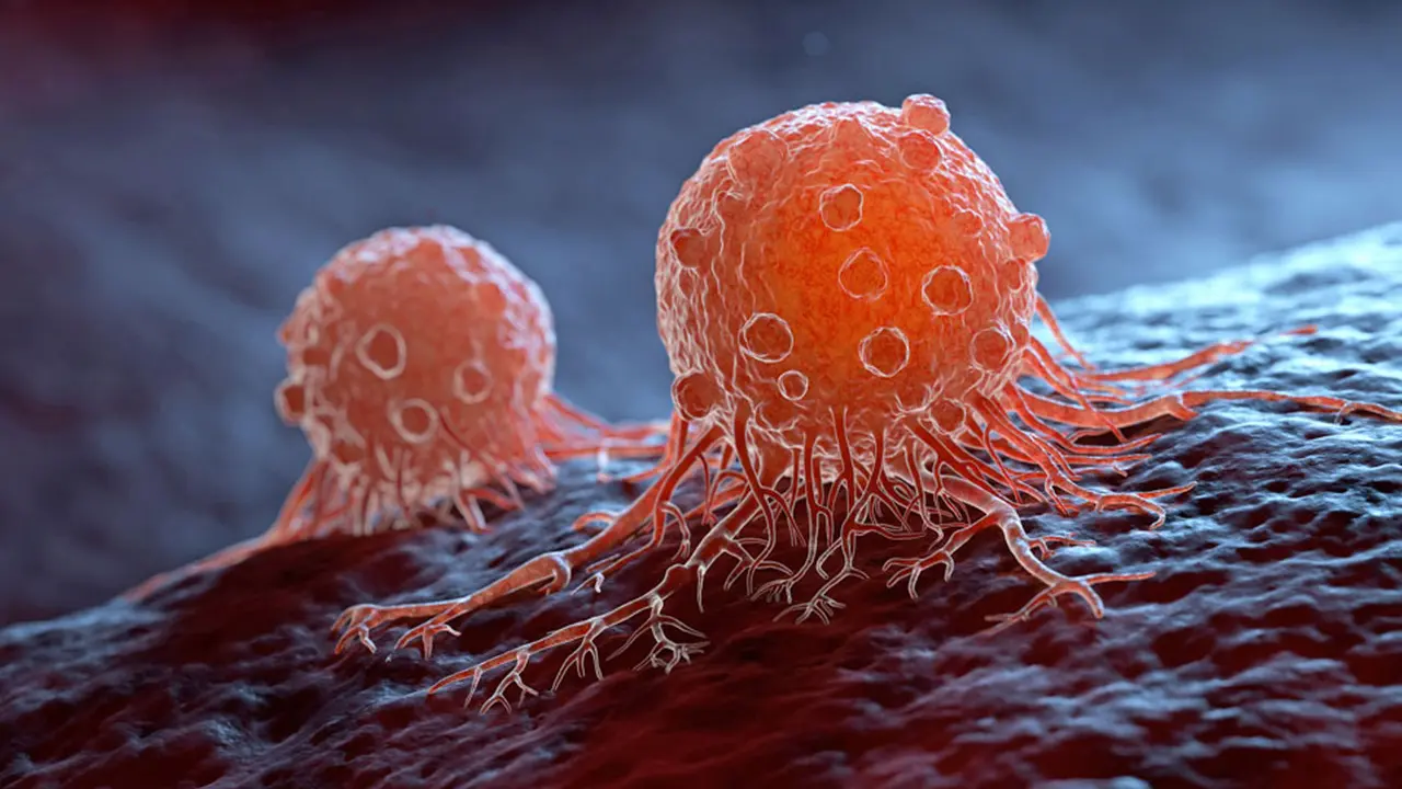 Detectar c&eacute;lulas cancer&iacute;genas a tiempo es clave para el tratamiento del c&aacute;ncer