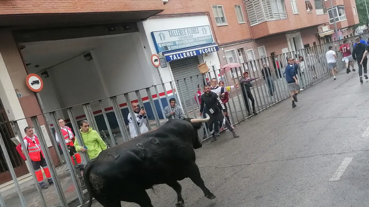 Los encierros y la feria de d&iacute;a eran dos reivindicaciones que hac&iacute;an los integrantes de las pe&ntilde;as taurinas de Fuenlabrada | Imagen: Al cabo de la calle