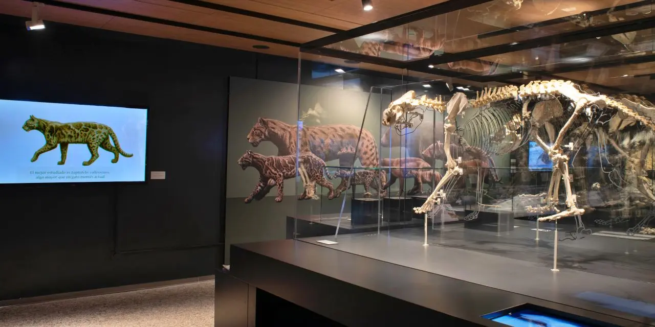 Museo arqueol&oacute;givo de Alcal&aacute; de Henares (Madrid)