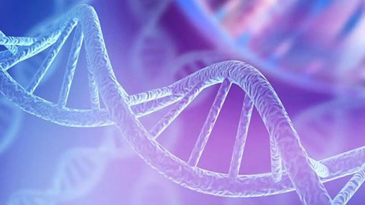 La creaci&oacute;n de un ADN "sin fallos" podr&iacute;a ser el futuro de la medicina actual | Archivo