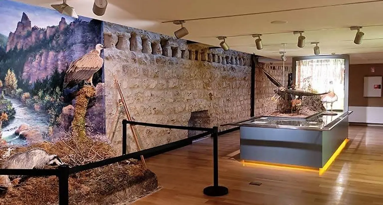 Museo de viaje a la Alcarria en el castillo de Torija