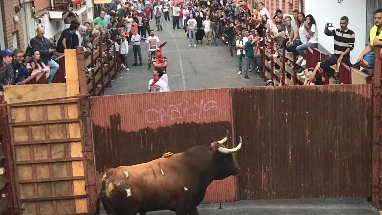 Son los &uacute;nicos encierros que se celebran de noche | Ayto. de Navalcarnero