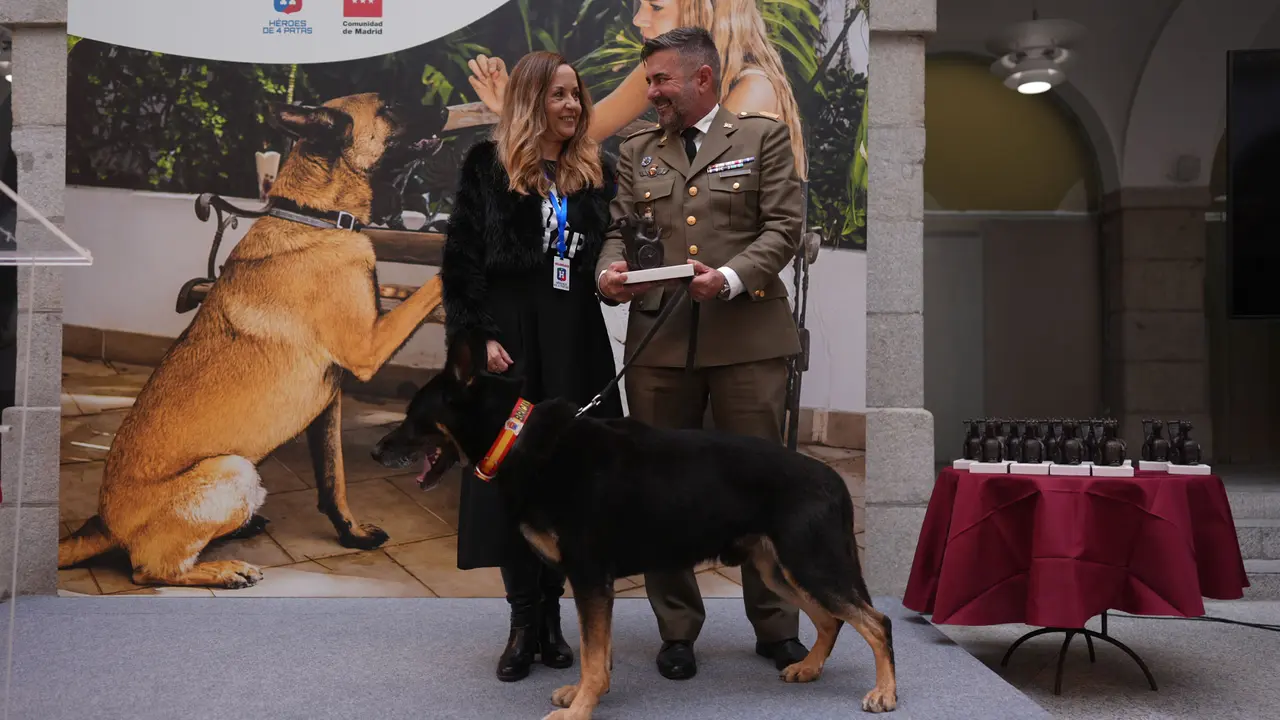 Kombucha, uno de los perros premiados | CAM