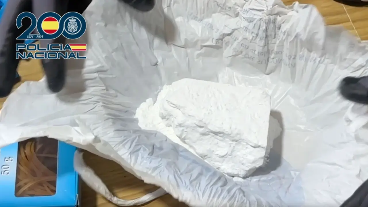 Droga incautada por la Polic&iacute;a en uno de los registros | CNP