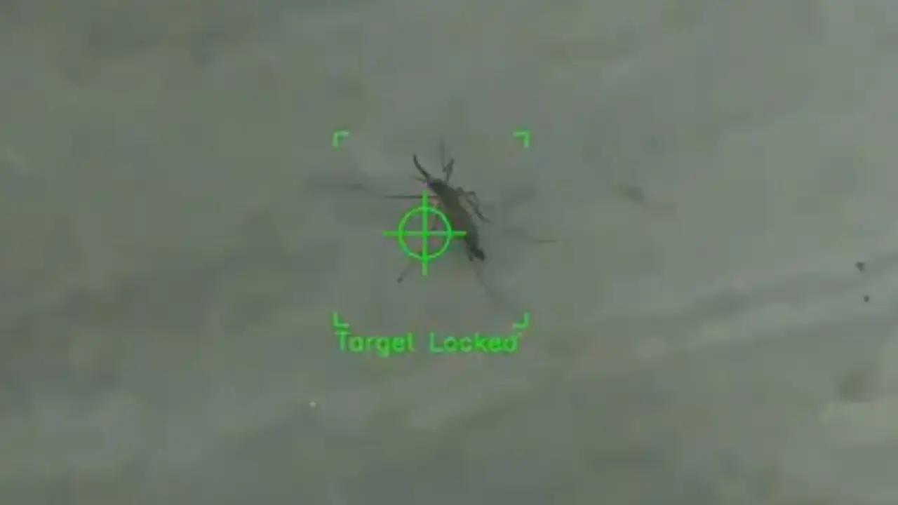 Imagen del l&aacute;ser localizando un mosquito | V&iacute;a X