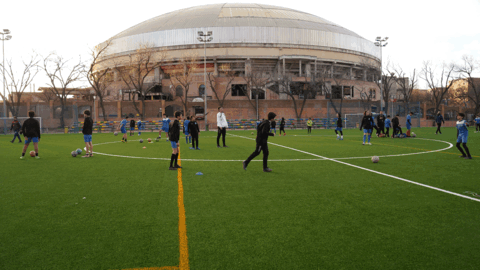 Imagen del campo de f&uacute;tbol con el nuevo cesped instalado