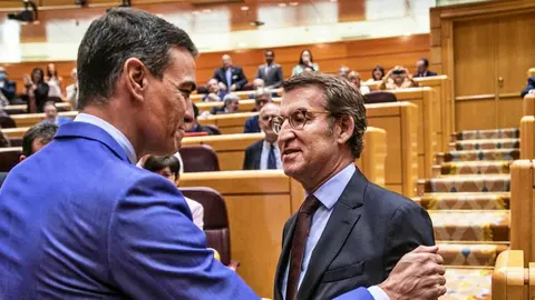 Pedro S&aacute;nchez y Alberto N&uacute;&ntilde;ez Feijoo en el Senado | Efe