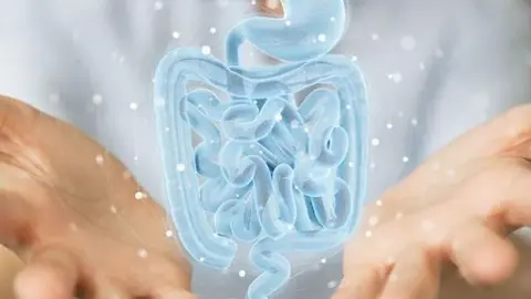Algunos consejos para mejorar la microbiota