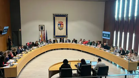 Imagen del Pleno Municipal de Fuenlabrada de este 11 de Enero