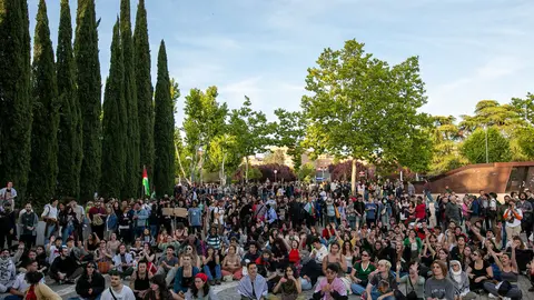 Imagen de la acampada pro-Palestina en la Universidad Complutense de Madrid. Foto: Europa Press