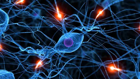 Un tratamiento novedoso podr&iacute;a frenar la degeneraci&oacute;n neuronal