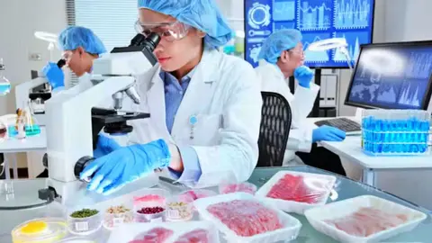 Un estudio revela c&oacute;mo influyen los microorganismos en el intestino | aslysun/Shutterstock