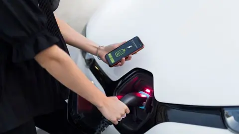 Algunos desaf&iacute;os para los due&ntilde;os de coches el&eacute;ctricos