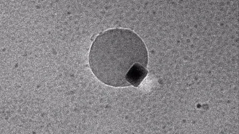 Los cient&iacute;ficos de la univerisdad de Northwestern han conseguido generar agua a niveles nanom&eacute;tricos | Imagen: Universidad de Northwestern
