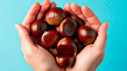 las castañas aportan muchos beneficios para la salud | filiperibeiro85/Shutterstock