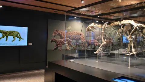 Museo arqueol&oacute;givo de Alcal&aacute; de Henares (Madrid)