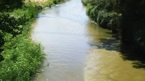El r&iacute;o Tajo a su paso por Arroyomolinos | Ayto. de Arroyomolinos