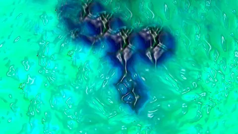 El color Olo se encontrar&iacute;a en el espectro del azul y verde