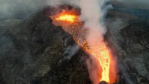 La pista podr&iacute;a estar en las hojas de los &aacute;rboles | National Geographic