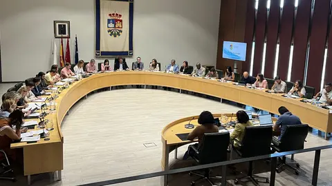 El pleno municipal se ha reunido como cada jueves | Ayto. de Fuenlabrada