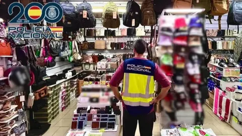 El detenido recib&iacute;a los productos robados y los expon&iacute;a para su venta | CNP