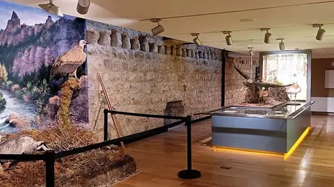 Museo de viaje a la Alcarria en el castillo de Torija