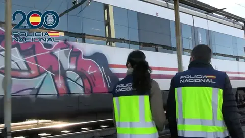 Hasta 26 detenidos en la Operaci&oacute;n Tinta | CNP