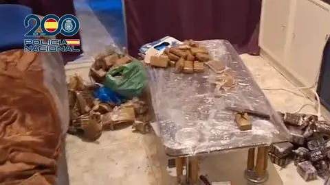Fardos de droga encontrados en el registro del domicilio | CNP