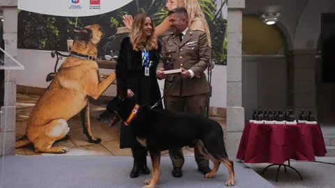 Kombucha, uno de los perros premiados | CAM